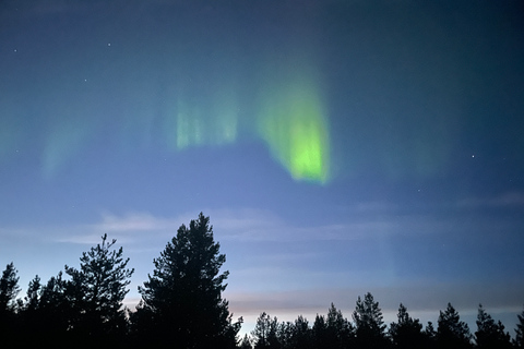 Excursión en minibús a la aurora boreal en el Parque Nacional de Abisko