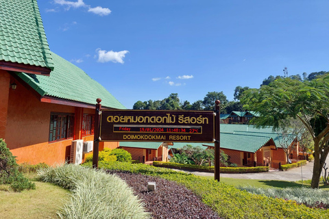 Chiang Rai: Mountains Discovery Doi Mae Salong & Doi Tung Mountains Discovery:Doi Mae Salong & Doi Tung (Private Tour)