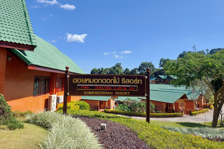 Chiang Rai: Mountains Discovery Doi Mae Salong & Doi Tung Mountains Discovery:Doi Mae Salong & Doi Tung (Private Tour)