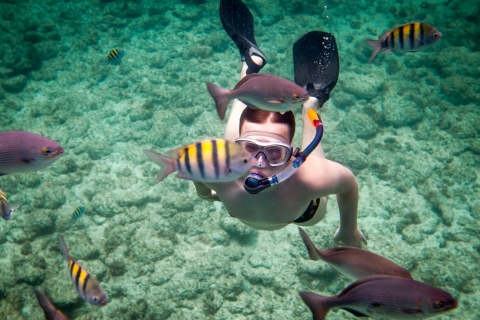 Gili Trawangan: Private Snorkeling Tour With Turtle 7 Hours Full Day Private Snorkeling Gili Trawangan 7 Hour -Satisfied