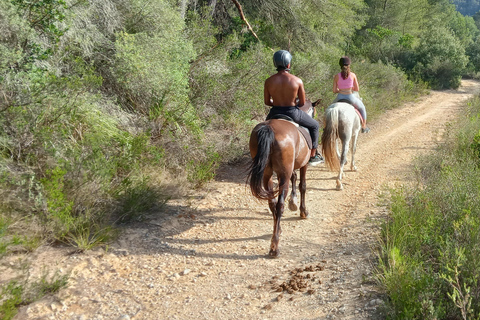 Mallorca: Randa Romántico Paseo a Caballo al Atardecer con Copas