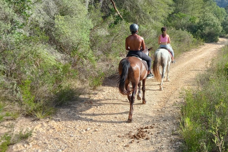 Mallorca: Randa romantische zonsondergang paardrijden met drankjes