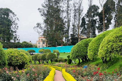 6-Day Sri Lanka Tour: Pinnawala, Kandy & Gem Capital All-Inclusive Package with 3-Star Hotels