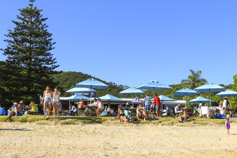 Paihia: barco rápido pelo Hole in the Rock com parada na ilha9h30 Hole in the Rock: aventura oceânica de 1,5 hora em barco rápido