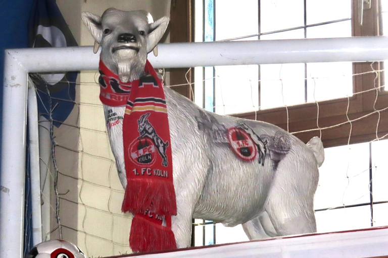 كولونيا: جولة سيرًا على الأقدام لمشاهدة كرة القدم والكرنفال