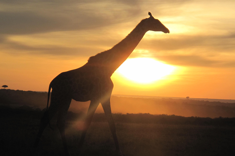 2-dniowe safari na słoniach w Amboseli