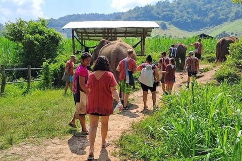 Un'esperienza da non perdere: Vita autentica degli elefanti e dei villaggi a Chiang Mai