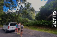 星期四，在萨拉兹马戏团的指导游览。 - Housity