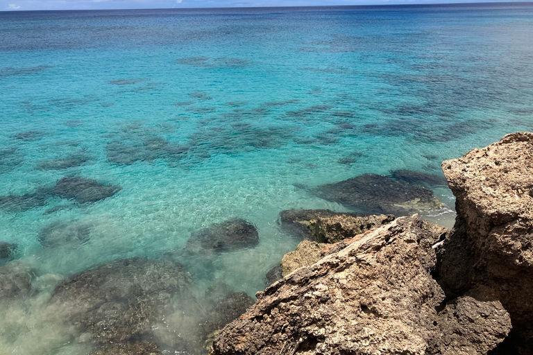 Oahu: Beginner SCUBA duik bij Electric Beach