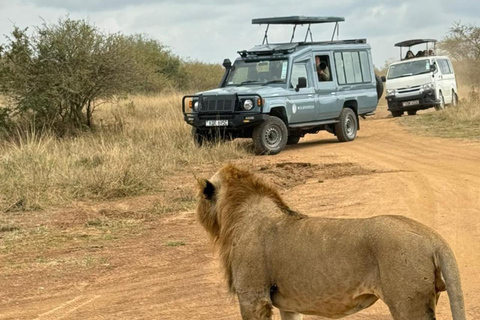 Nairobi National Park Half-Day Game Drive –See Lions, Rhinos Nairobi National Park Half-Day Game Drive – PRIVATE TOUR