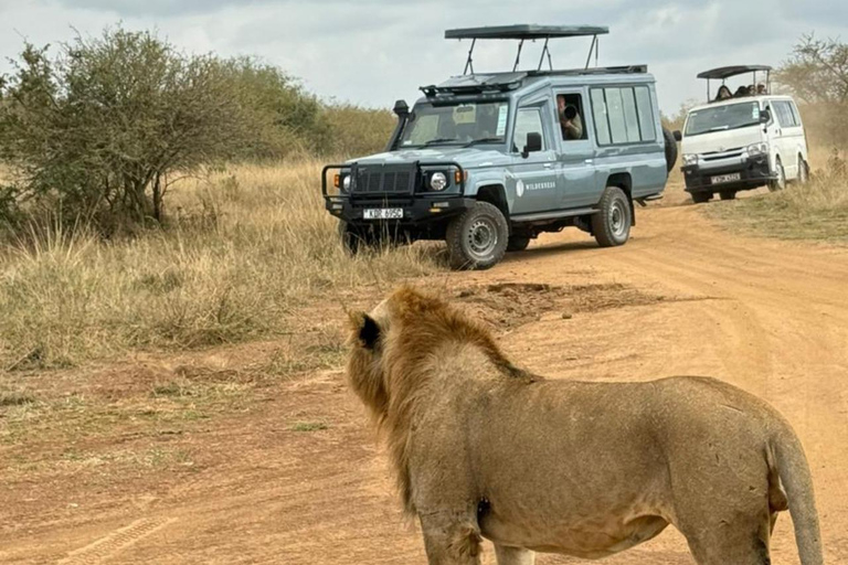 Parque Nacional de Nairobi: medio día en safari para ver leones y rinocerontesParque Nacional de Nairobi: tour privado de medio día