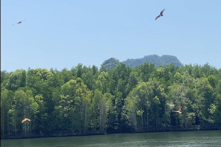 Langkawi Mangrove Monkey-paket