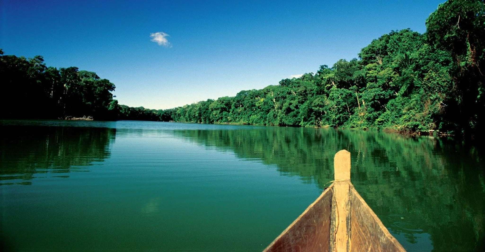 Jungle trekking + Sandoval Lake - Housity