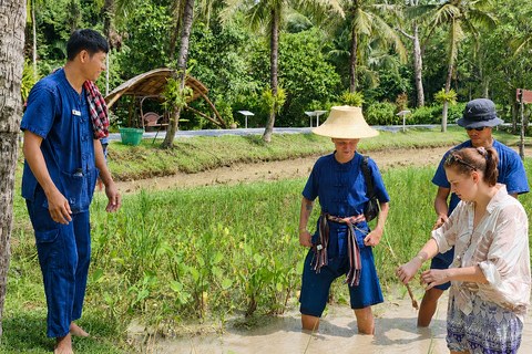 Phuket: 6 Authentic Thai Cultural Hands-On Experiences