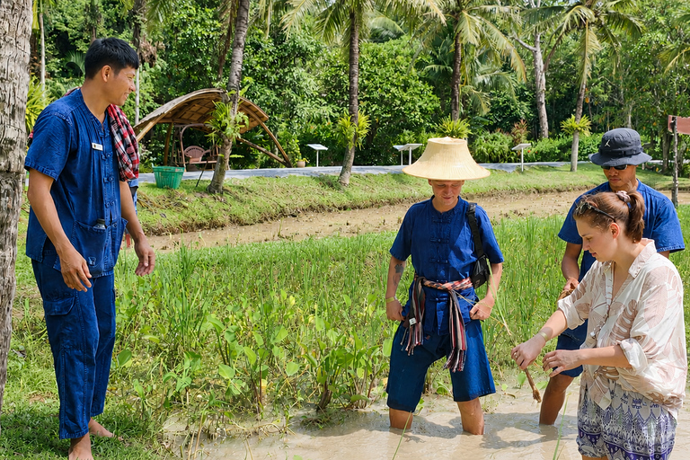 Phuket: 6 Authentic Thai Cultural Hands-On Experiences