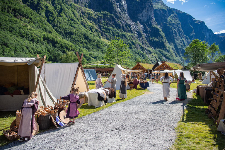 Private tour-Nærøyfjord Cruise Viking Village &amp; Flåm RailwayTour particular - Cruzeiro pelo Nærøyfjord, Vila Viking e Ferrovia Flåm