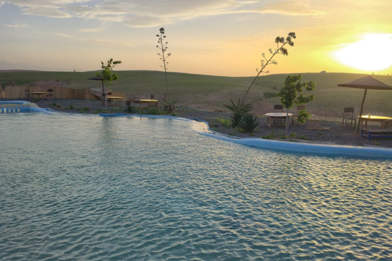Marrakech: Agafay Desert Lunch Pool, Quad Biking, Camel Ride