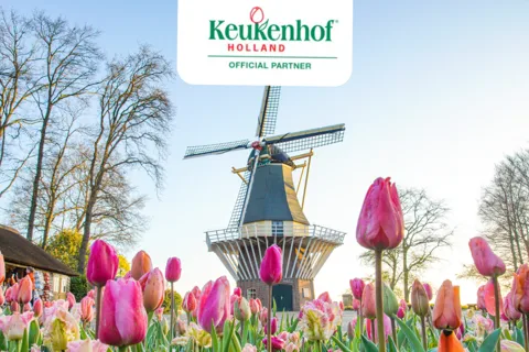 Roterdão e Haia: Autocarro de ida e volta para Keukenhof