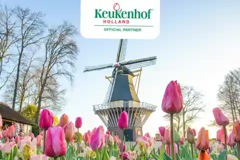 Rotterdam et La Haye : Keukenhof - Navette aller-retour