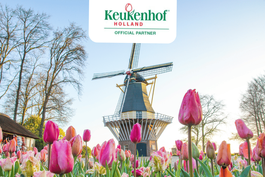 Rotterdam und Den Haag: Keukenhof Hin- und Rückfahrt mit dem Shuttle-Bus. Foto: GetYourGuide
