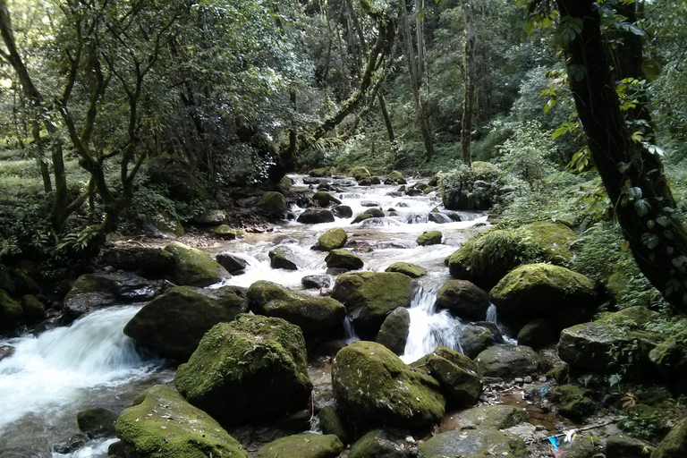 Katmandú : 2 noches 3 días Chisapani Nagarkot Trek Katmandú