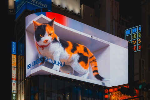 Tokyo full day Spanish speaking tour with hotel pick up and drop off.