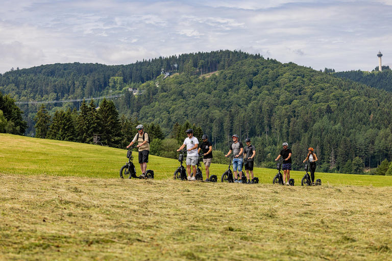 Willingen: Sauerland e-mountain scooter tour Willingen: 5-Hour Sauerland E-Mountain Scooter Tour