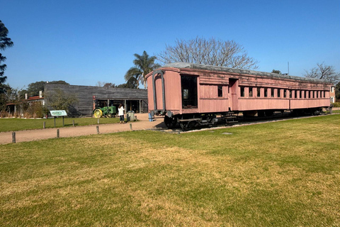 Montevideo: Spinoglio and Bouza Wineries tour with tasting