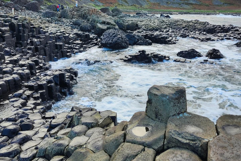 Belfast: Giant's Causeway and Derry Guided Day Trip