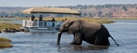 Zambezi River; Sunset Game Cruise - Housity