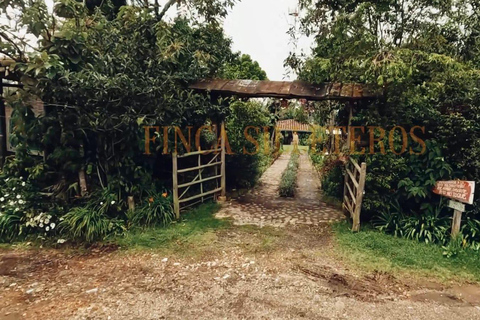 Medellín: Excursion to Arví and Finca de Flores - Hike, Snack & Lunch