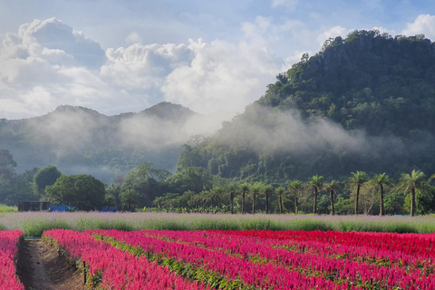 Khao Yai: Private Custom Tour with Driver From Bangkok Premium Car 1 Day (Group of 3)