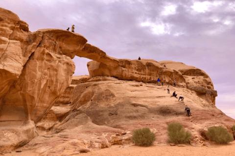 Deserto de Wadi Rum: excursão de meio dia em jipe (manhã ou pôr do sol)