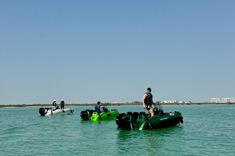 Tour de áudio pela Ilha Yas, condução própria guiada em grupo, fácil e divertidoSeaRay 25 FT • Com o capitão Bayside • Perfeito para até 6 pessoas