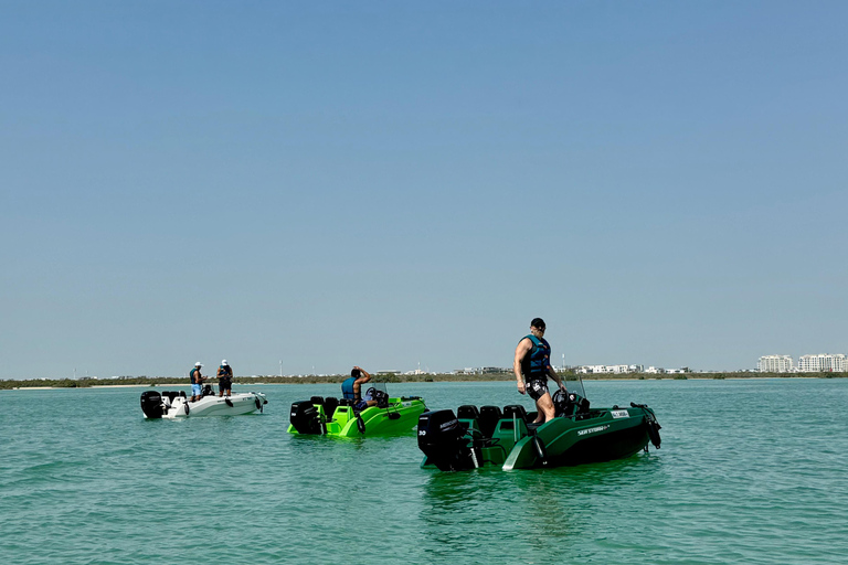 Tour de áudio pela Ilha Yas, condução própria guiada em grupo, fácil e divertidoSeaRay 25 FT • Com o capitão Bayside • Perfeito para até 6 pessoas