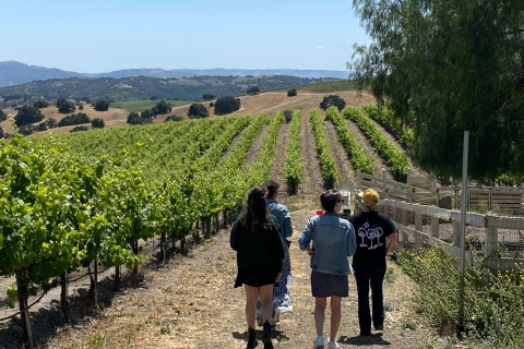 Santa Barbara: Wine Country Tour with Lunch Wine Country Tour