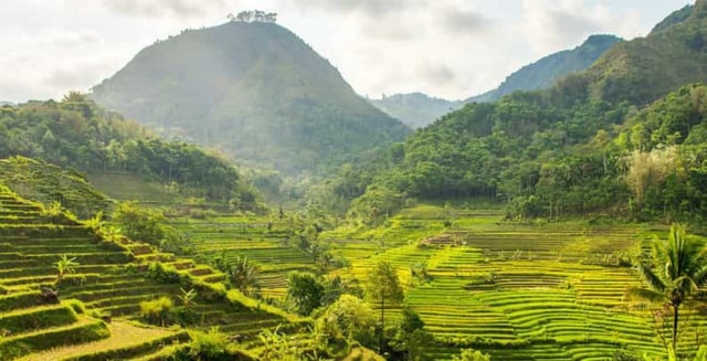 Yogyakarta; Selogriyo Temple & Nepal van Java