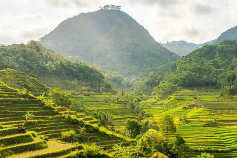 Yogyakarta; waterfall and terraced rice fields