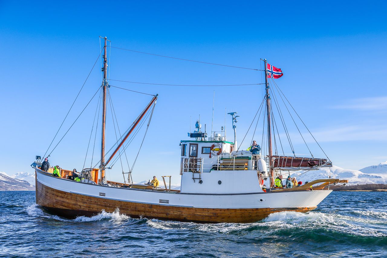 Tromsø: Fjordgeschichtliche Kreuzfahrt mit Snack und Getränken
