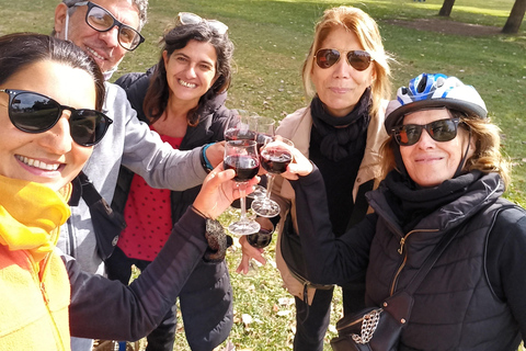 Buenos Aires: Private Bike Tour on Wine Route