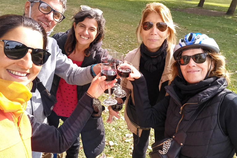Buenos Aires: Private Bike Tour on Wine Route