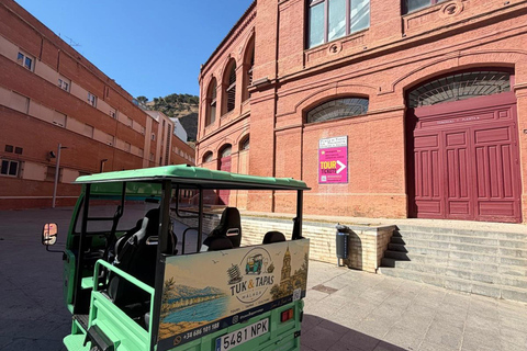 Málaga by Tuk Tuk: A Local's-Eye City Tour 1-Hour Highlights Tuk Tuk Tour