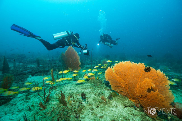Colombo: Shipwreck Diving Experience within the city
