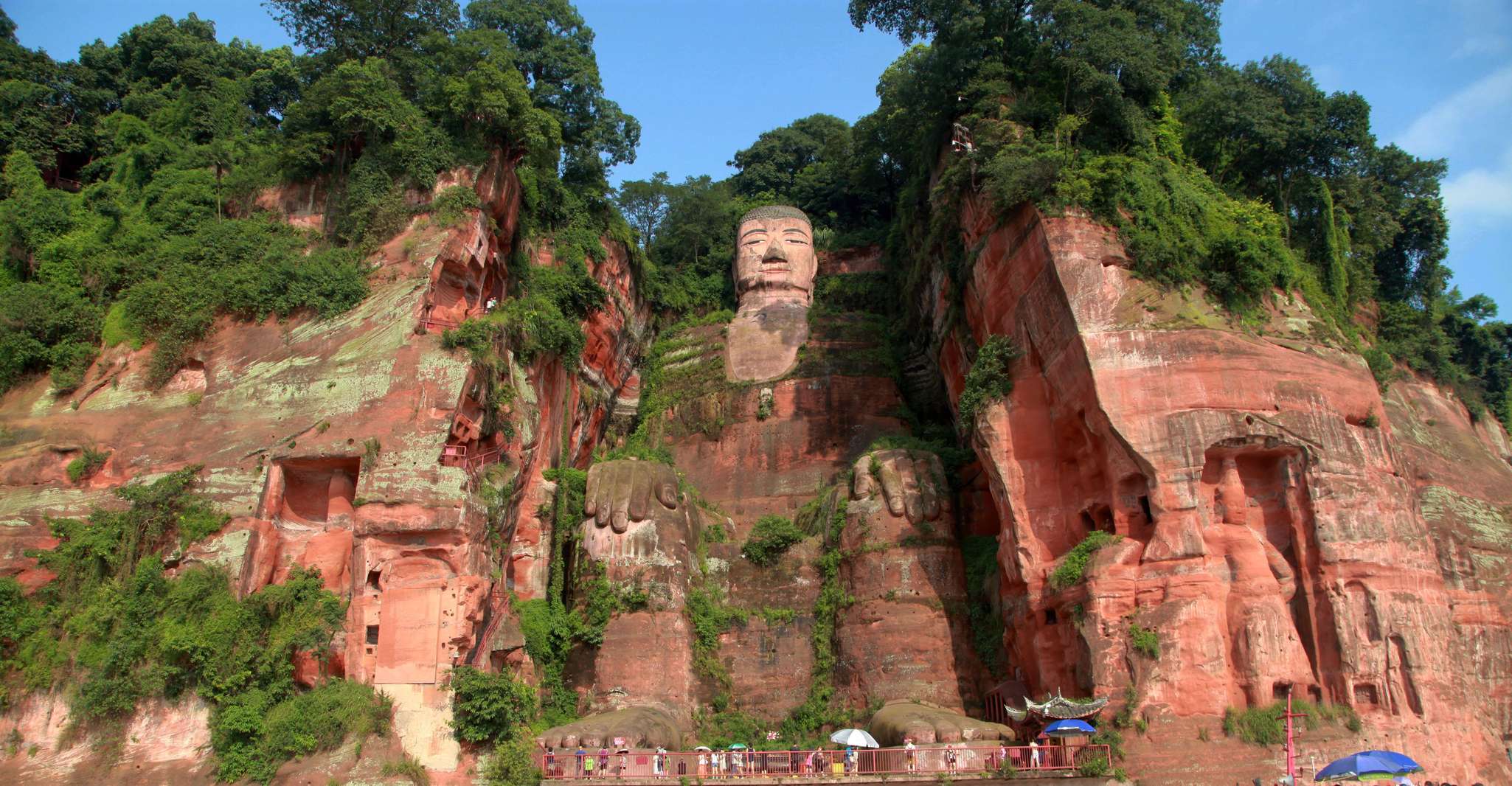 Panda Leshan Giant Buddha Tea Mountain view /Tea experience - Housity