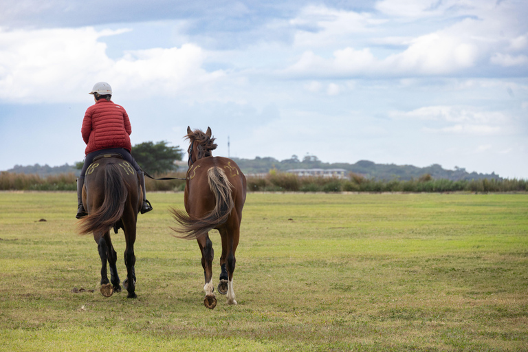 Queenstown: Guided Lakeside Horse Riding Experience