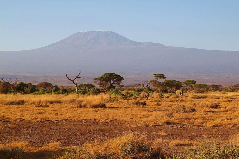 Tour di un giorno della fauna selvatica di Amboseli e visite ai villaggi Masai
