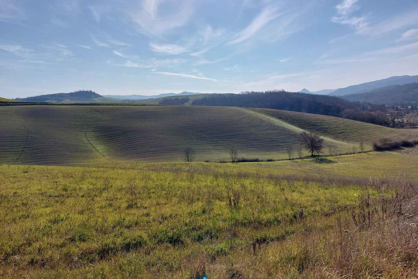 Entrada a San Miniato y villa Médici incluyendo brunch final