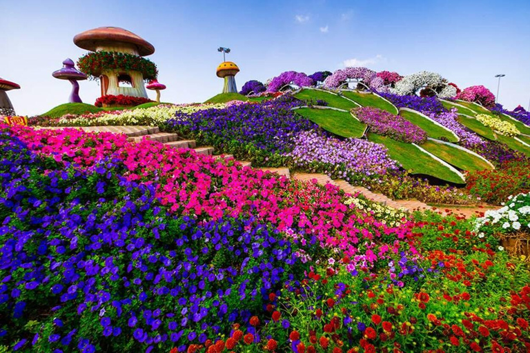 Dubai: Miracle Garden Tickets with Round-trip Transfer