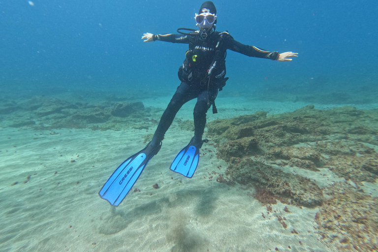 Tenerife: Privé Duiken - Gecertificeerd Instructeur &amp; Foto&#039;s