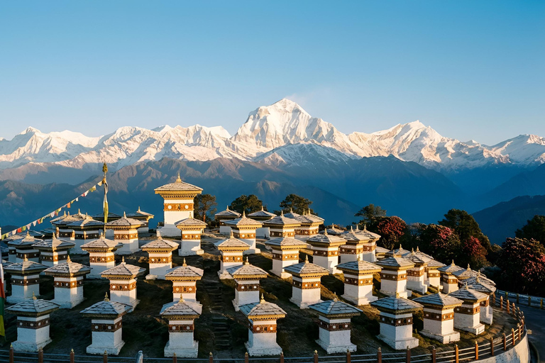 From Paro or Thimphu: Bhutan Viewpoints Guided Day Tour